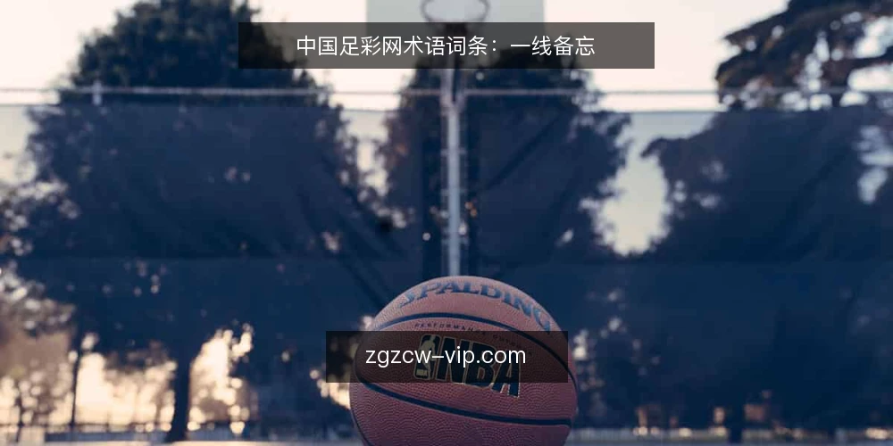 中国足彩网术语词条:一线备忘 — 信号观察:中国足彩网资讯中的关键术语 配图